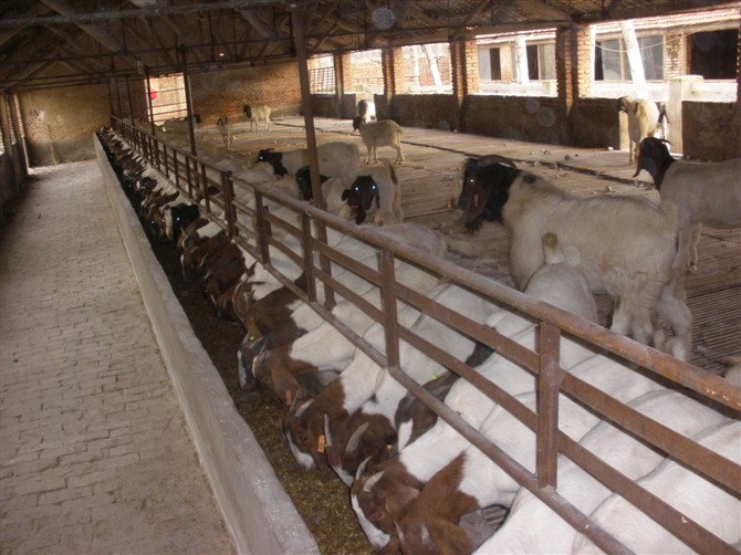 ����ɽ������