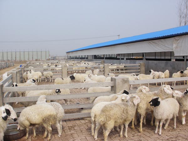 Сβ��������